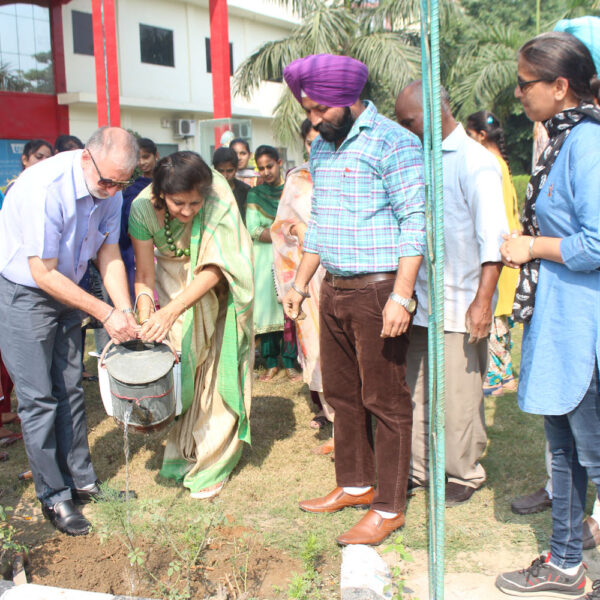 Tree Plantation at Desh Bhagat University