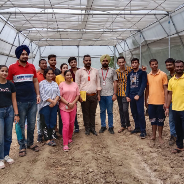 Guide-Students-about-Sowing-Cucumber-in-Polyhouse