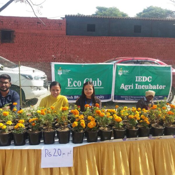 Agriculture-own-field-Flower-sale