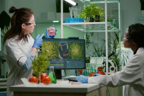 scope of food technology in India