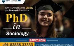 PhD in Sociology
