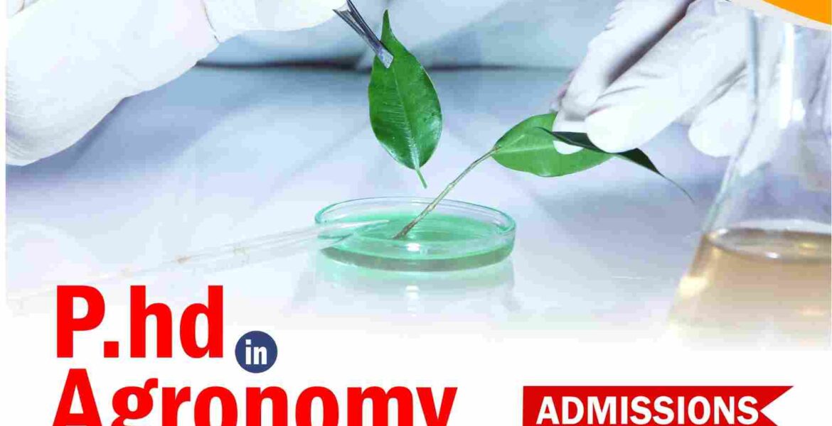 PhD in Agronomy