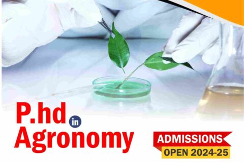 PhD in Agronomy