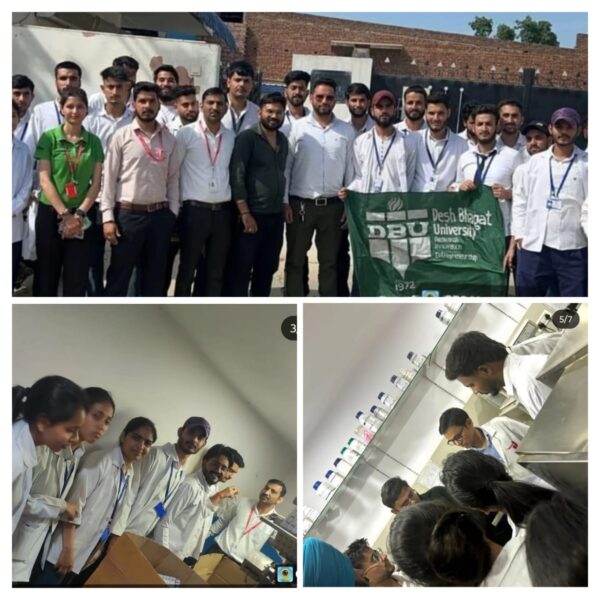 WhatsApp Image 2025-05-17 at 14.44.57