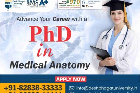 PhD in Medical Anatomy