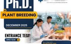 PhD in Plant Breeding