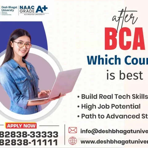 Best course after BCA