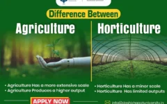 Difference between Agriculture and Horticulture