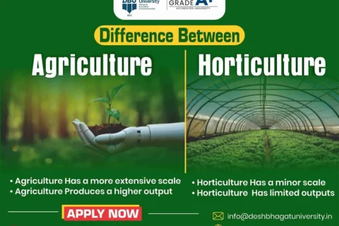 Difference between Agriculture and Horticulture
