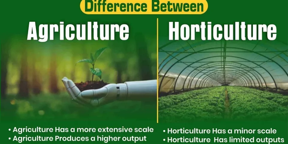 Difference between Agriculture and Horticulture