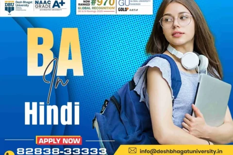 BA in Hindi