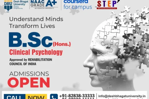 BSc Clinical Psychology