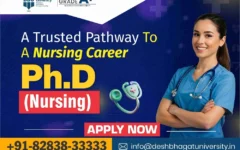 PhD in Nursing