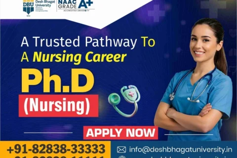 PhD in Nursing