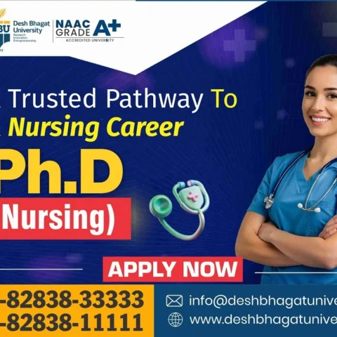 PhD in Nursing