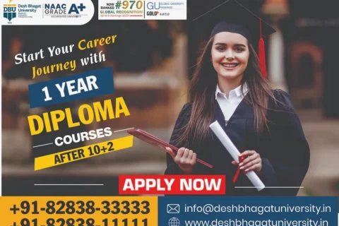 1 Year Diploma Courses after 12th