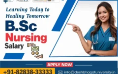 BSc Nursing Salary