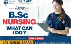 After BSc Nursing What Can I Do
