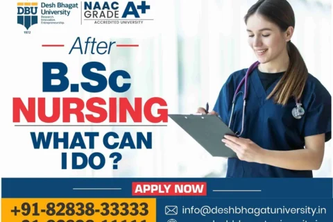 After BSc Nursing What Can I Do