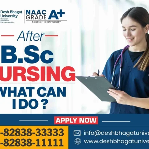 After BSc Nursing What Can I Do