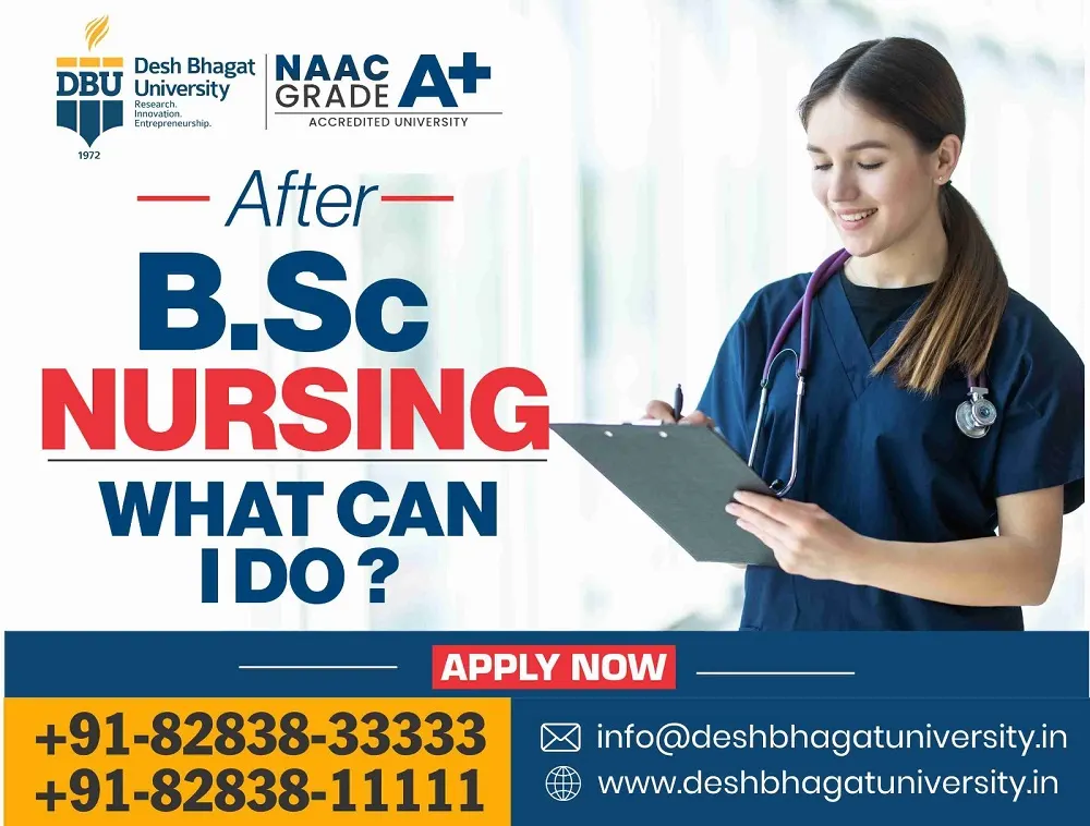 After BSc Nursing What Can I Do