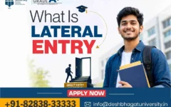 What is Lateral Entry