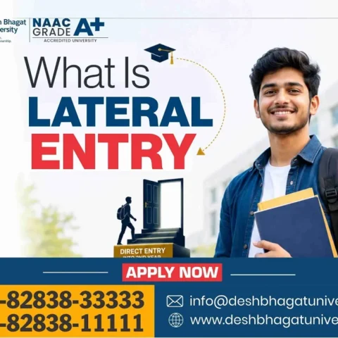 What is Lateral Entry