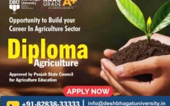 Diploma in Agriculture
