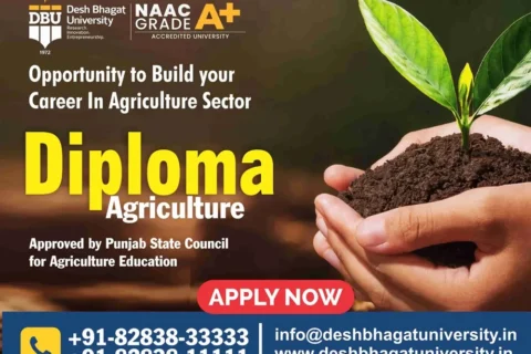 Diploma in Agriculture