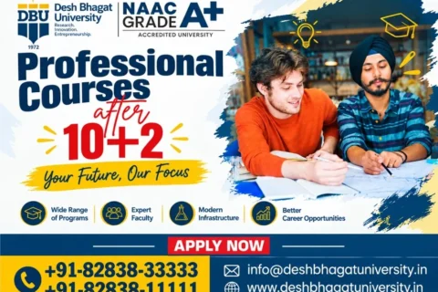 Professional Courses After 12th