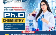 PhD in Chemistry
